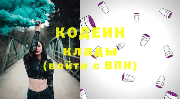 индика Абинск