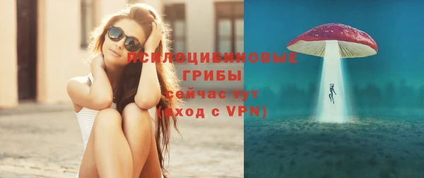 индика Абинск