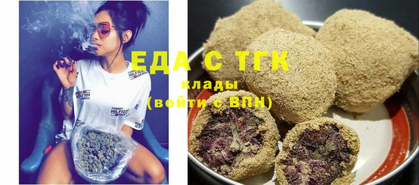 индика Абинск
