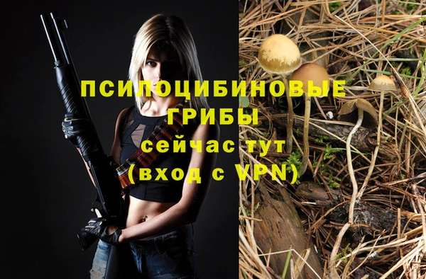дживик Россошь
