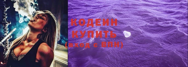 индика Абинск