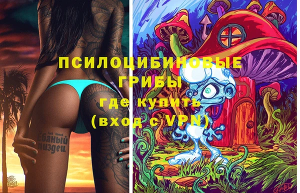 индика Абинск